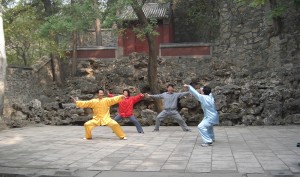 Martial Arts 06